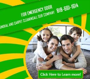 Carpet Cleaning San Fernando, CA | 818-661-1614 | Fast & Expert