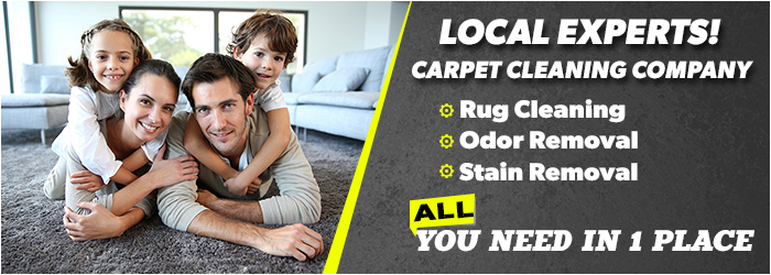 About Carpet Cleaning Services