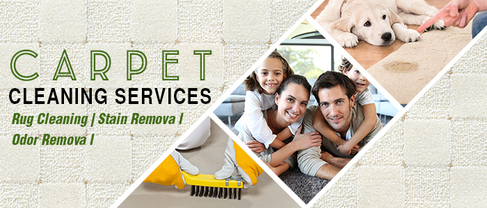 Carpet Cleaning Services